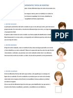 Diferentes Tipos de Rostro