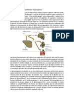 Tema 3. Metabolismo de Carbohidratos. Gluconeogénesis.