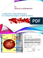 U6. Bioquimica de La Respiración