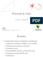 Tematica B 3 Potencial de Ação