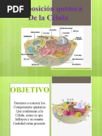 Composicion Quimica de La Celula