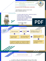 Tema - Evidencia