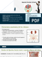 Exposicion (Morfo) - 6-1-2