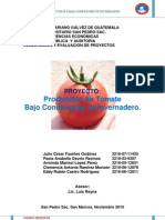 Proyecto Produccion de Tomate Bajo Condiciones de Invernadero