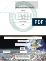 Mapa Conceptual de Los Principales Contaminantes en La Vida Del Palneta