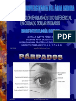 MorfofisiologÍa Ocular