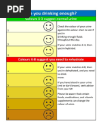 Urine Colour Guide