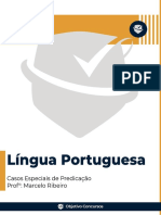 01 CASOS ESPECIAIS DE PREDICAÇÃO - Docx - Documentos Google