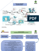 1... 10 Estandar Rutas de Atencion 1