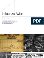 2 Influenza Aviar