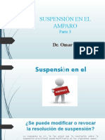 Suspensión en El Amparo 3