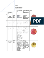 Microbiologia Agares