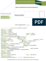 Formato f23dpss190523