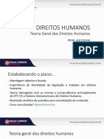 Teoria Geral Dos Direitos Humanos