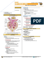 299.08 - Renal Pathology) Chronic Kideny Disease (CKD)