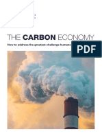 The Carbon Economy