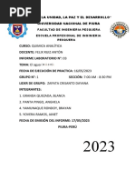 PDF Documento