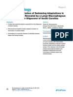 1-s2.0-S0960982220308289 Convergent Evolution of Swimming Adaptations