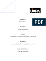 Ensayo Sobre Los Principios de Legalidad y Culpabilidad (Rainieri Cabrera)