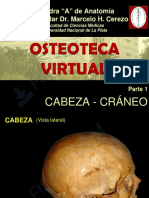 Osteoteca Cráneo