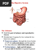 Digestive System