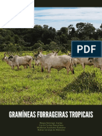 Livro Gramineas Forrageiras Tropicais