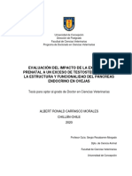 Evaluación Del Impacto de La Exposición Prenatal A Un Exceso de Testosterona Sobre La Estructura Y Funcionalidad Del Páncreas Endocrino en Ovejas