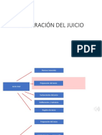 Preparacion Del Juicio