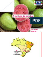 A Cultura Da Goiaba