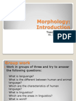 Morphology First Class