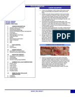 Finals - Cellular Aberrations