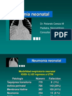 Neumonia Neonatal