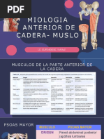 Miologia Cadera y Muslo PDF