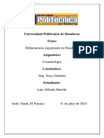 Ensayo Delincuencia Organizada en Honduras