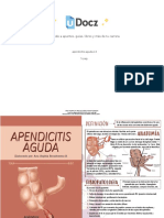 UDOCZ Apendicitis