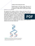 Dna Replication in Prokaryotes