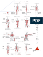 MT Fascia Poster 2 Final Importante