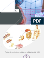 Introdução À Histologia