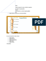 Anatomía de Miembro Inferior