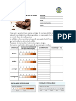 Fichas de Cata Cacao