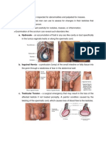 Testicular Exam