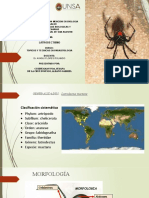 Diapositivas Latrodectismo 30abril