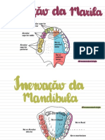 Cabeça e Pescoço Mapas