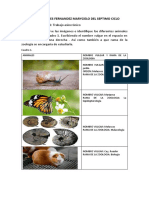 Zoologia Pacherres Fernandez