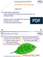 Plant Nutrition Part 2