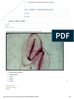 Examen Práctico 2 de Microanatomía - Revisión Del Intento