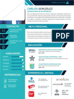 Curriculum Vitae