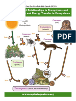 Ecosystems Interactions Energy Preview