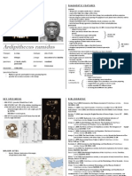 Ardipithecus Ramidus - Cheatsheet