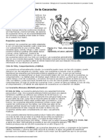 Manual para El Control de Cucarachas - Biología de La Cucaracha